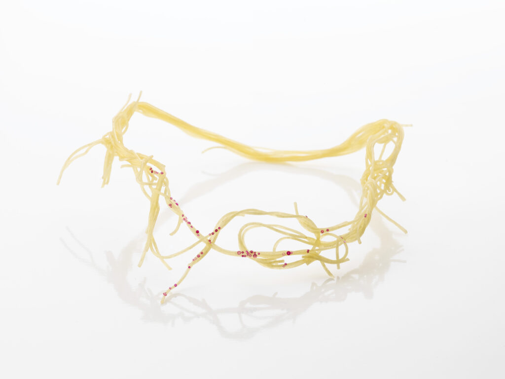 Pasta Pesto Rosso – getrocknete Spagetti Rubine